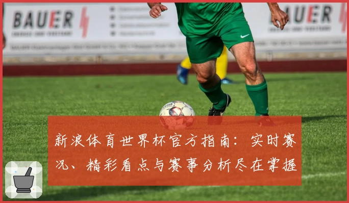 新浪体育世界杯官方指南：实时赛况、精彩看点与赛事分析尽在掌握