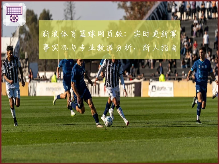 新浪体育篮球网页版：实时更新赛事实况与专业数据分析，新人指南一站式体验