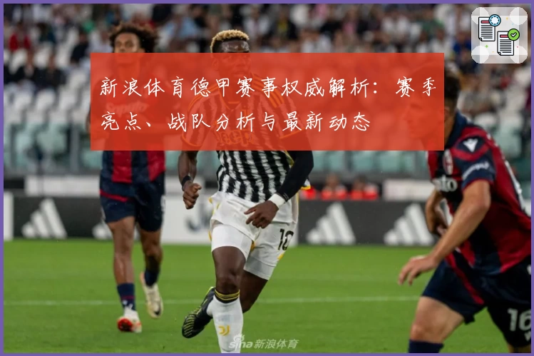 新浪体育德甲赛事权威解析：赛季亮点、战队分析与最新动态