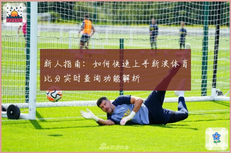 新人指南：如何快速上手新浪体育比分实时查询功能解析