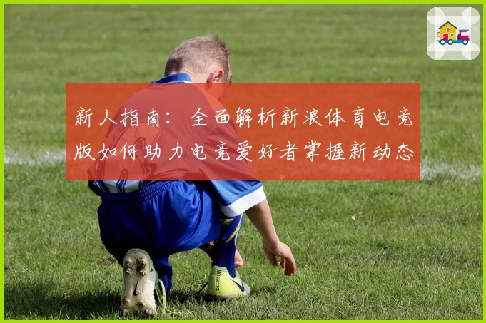 新人指南：全面解析新浪体育电竞版如何助力电竞爱好者掌握新动态