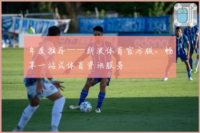 年度推荐——新浪体育官方版,畅享一站式体育资讯服务