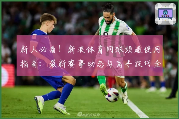 新人必看!新浪体育网球频道使用指南:最新赛事动态与高手技巧全解析