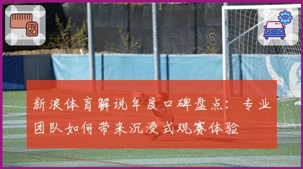 新浪体育解说年度口碑盘点：专业团队如何带来沉浸式观赛体验