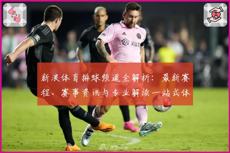新浪体育排球频道全解析：最新赛程、赛事资讯与专业解读一站式体验