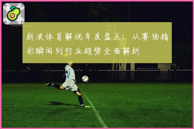新浪体育解说年度盘点：从赛场精彩瞬间到行业趋势全面解析