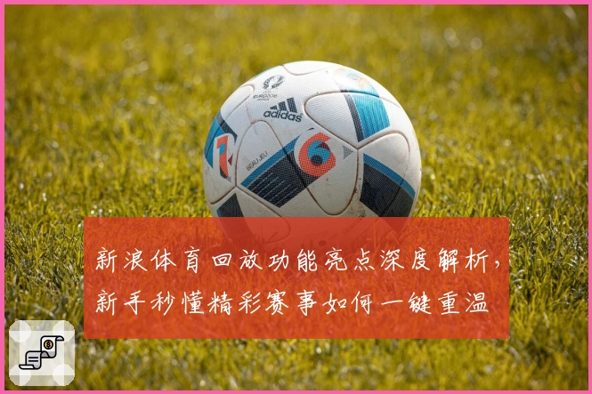 新浪体育回放功能亮点深度解析，新手秒懂精彩赛事如何一键重温