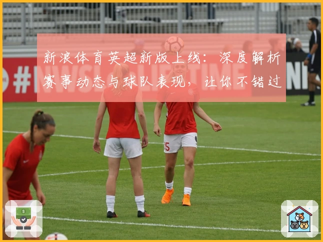 新浪体育英超新版上线：深度解析赛事动态与球队表现，让你不错过任何关键时刻