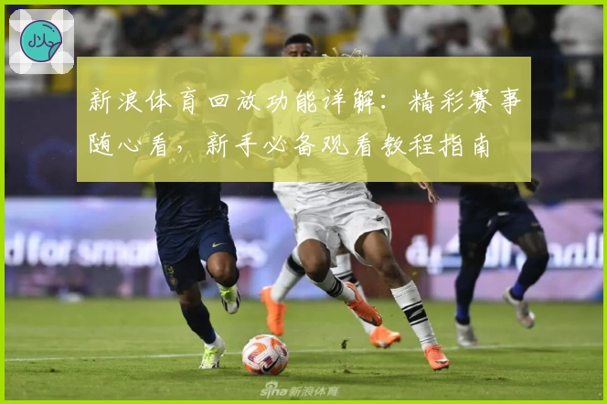 新浪体育回放功能详解：精彩赛事随心看，新手必备观看教程指南