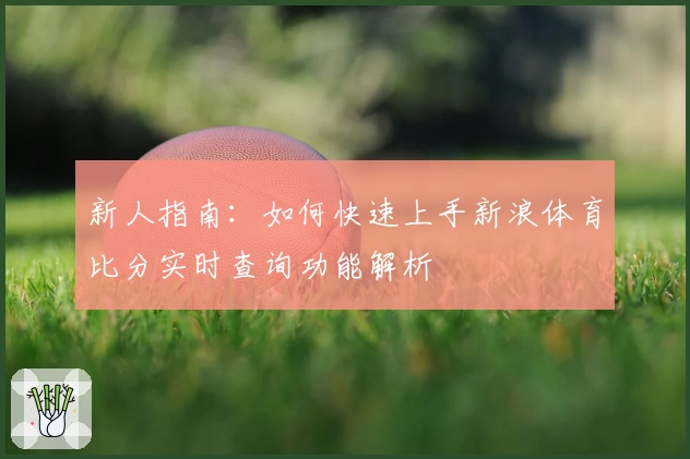 新人指南：如何快速上手新浪体育比分实时查询功能解析