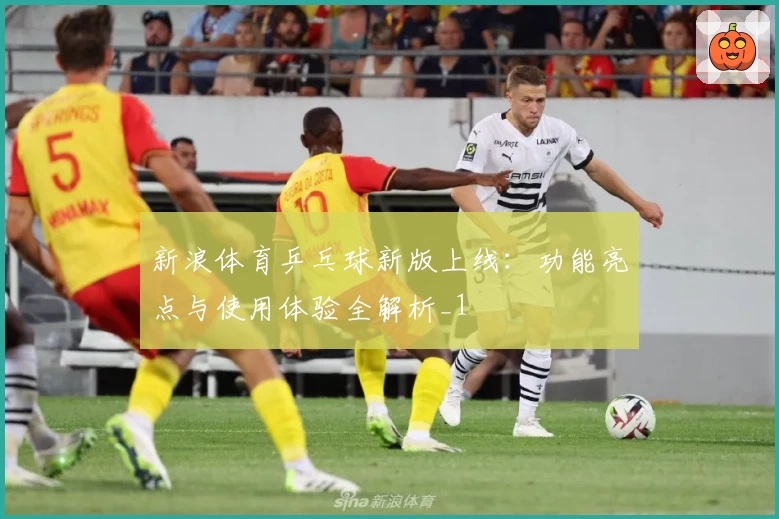 新浪体育乒乓球新版上线：功能亮点与使用体验全解析_1