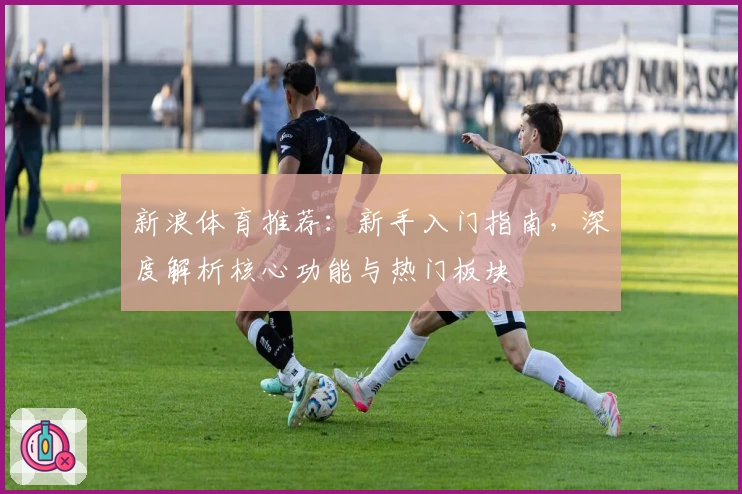 新浪体育推荐：新手入门指南，深度解析核心功能与热门板块