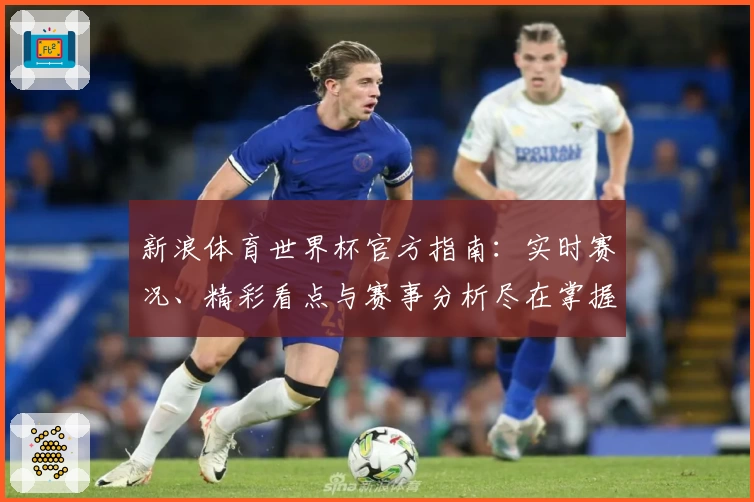 新浪体育世界杯官方指南：实时赛况、精彩看点与赛事分析尽在掌握